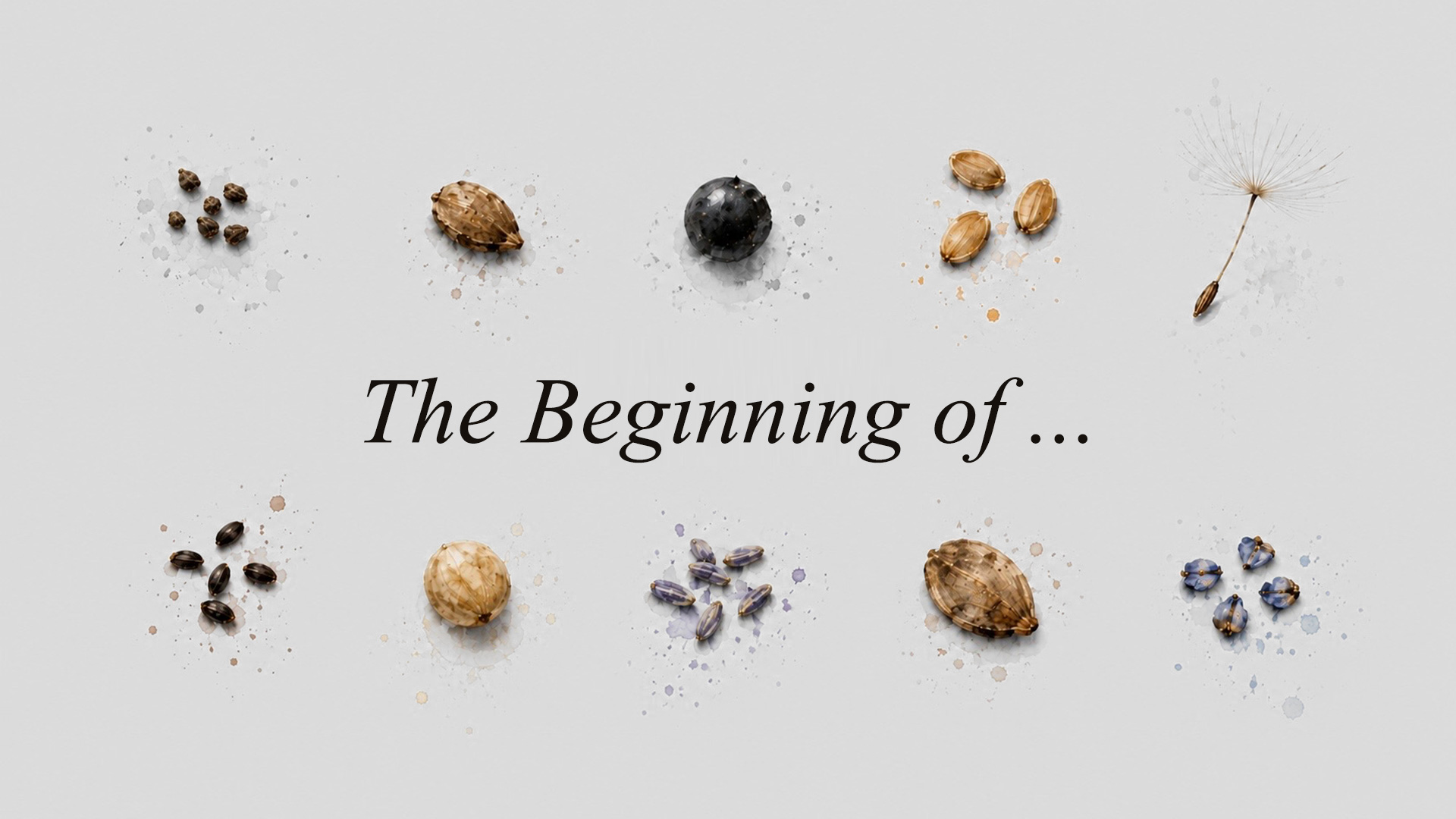 EDEN-The-Beginning-of-